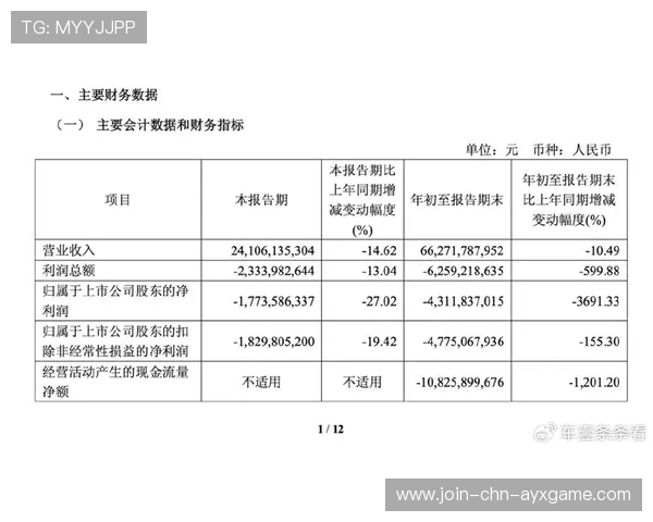 俱乐部发布年度财报显盈利良好信号 俱乐部发布年度财报显盈利良好信号