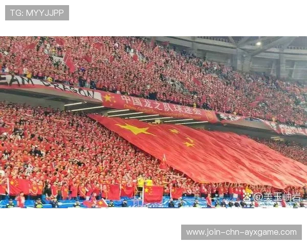 世界杯将强化球迷安检流程，新增细粒度分类检测