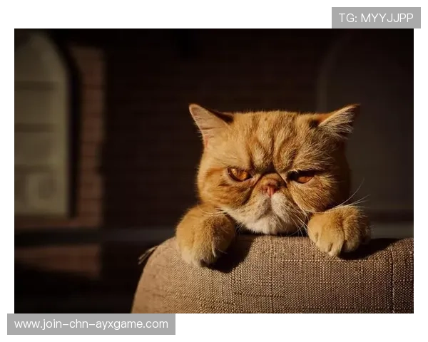 UFC震撼瞬间：一记肘击让顶级拳手瞬间懵圈，背后隐藏的战术秘密